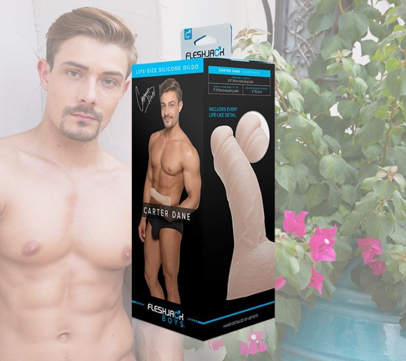 Fleshlight Carter Dane Male Pornstar Replicas | AUSTRALIA DQWEKR639