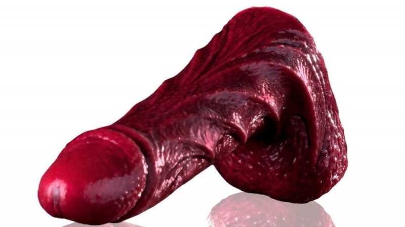 Fleshlight Drac Freaks Dildo | AUSTRALIA QMXORD187