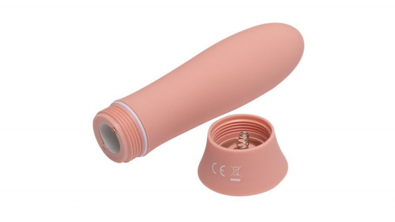 Fleshlight Poppy Bloom Bullet Vibrators | AUSTRALIA ZMRHKN852