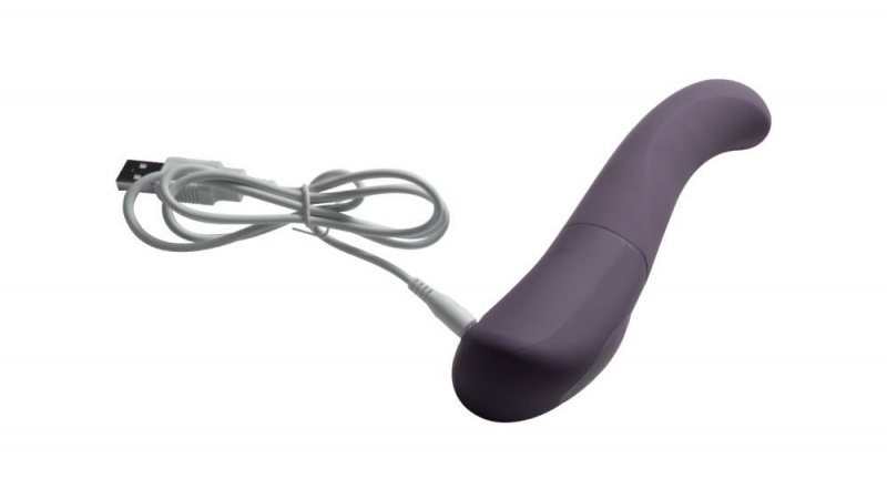 Fleshlight Tulip Bloom G-spot Wand Vibrators | AUSTRALIA WZLOGV829